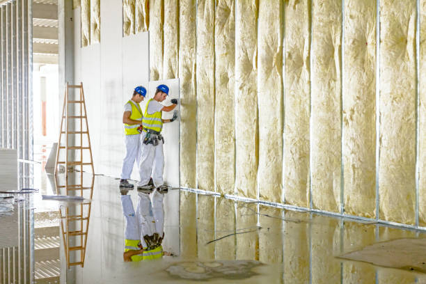 Best Wall Insulation Contractor  in Chester Gap, VA